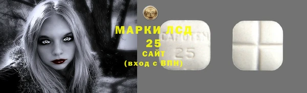 СК Горняк