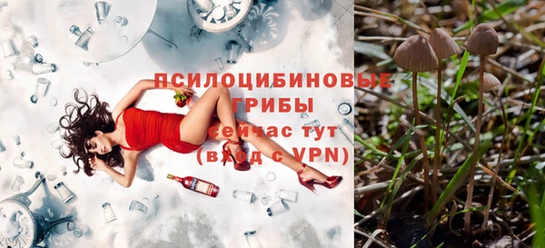 СК Горняк