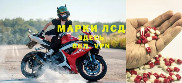СК Горняк