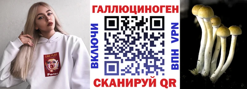 как найти закладки  Домодедово  Псилоцибиновые грибы Psilocybe 